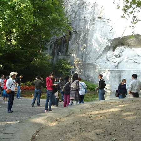 Lion Lucerne